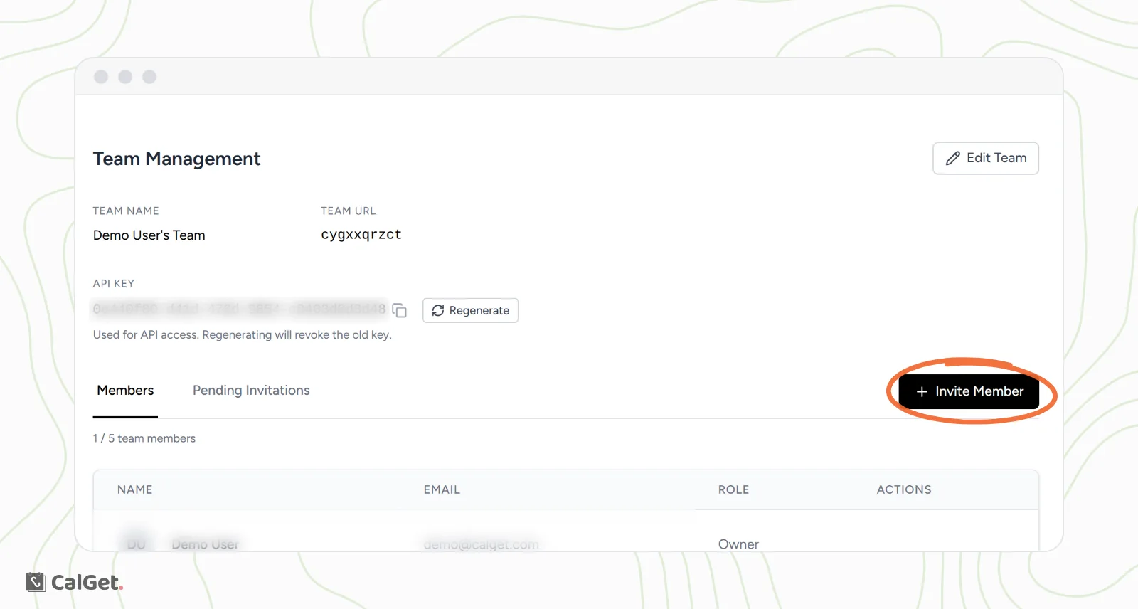 The Team Management page with the team name, team URL, a blurred API key, the Members and Pending Invitations tabs, and the Invite Member button circled