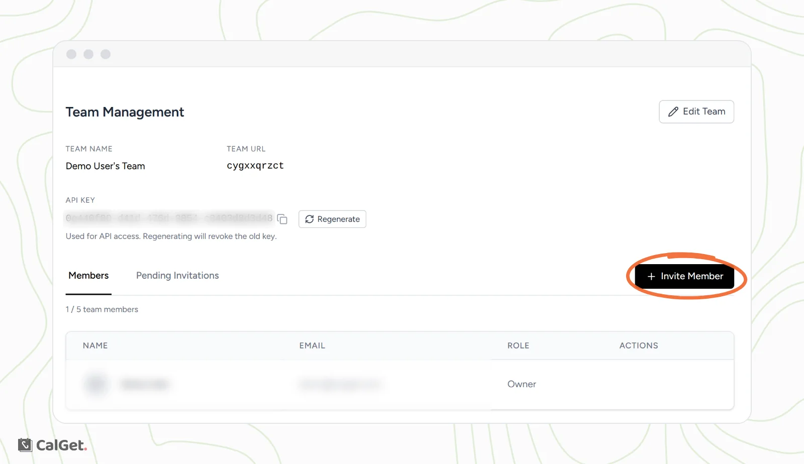 The Team Management page with the team name, team URL and a blurred API key with a Regenerate button, the Members and Pending Invitations tabs, and the Invite Member button circled