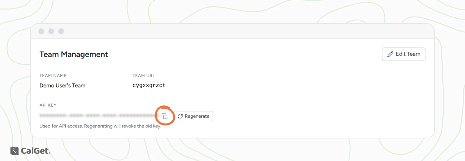 The Team Management page with TEAM NAME, TEAM URL and API KEY, the key hidden, and the copy icon next to it circled before the Regenerate button